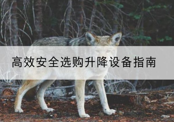 永定升降货梯厂家推荐-*安全选购升降设备指南